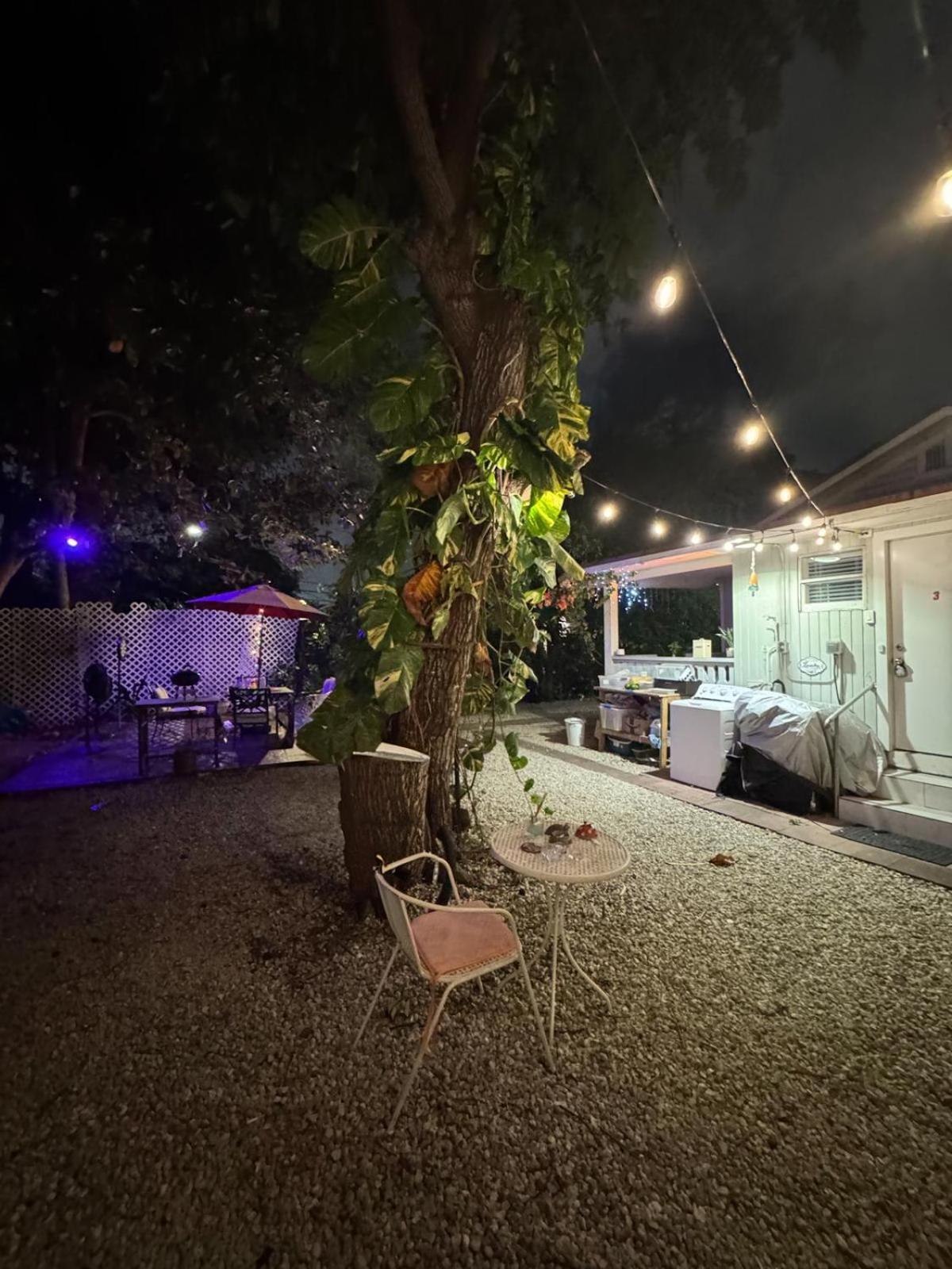 Deluxe Room In Best Location Miami In A 2 Bedrooms Unit - Parking, Laundry And Luggage Storage Екстер'єр фото